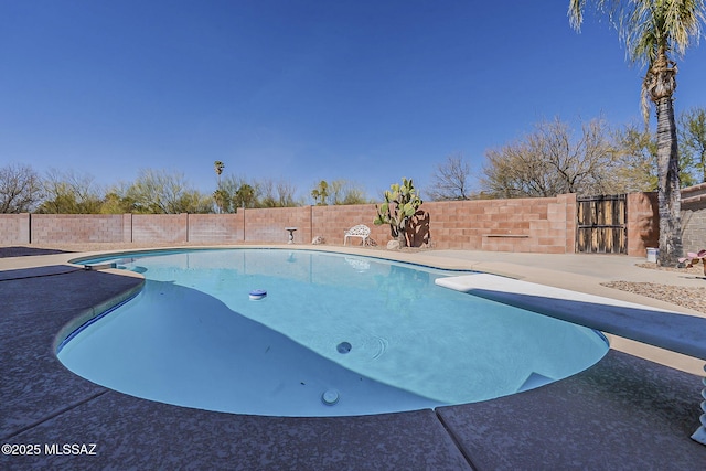 view of pool featuring a fenced in pool, a fenced backyard, and a diving board