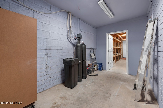 unfinished basement featuring concrete block wall