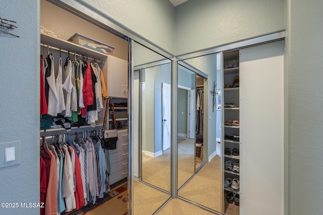 view of spacious closet