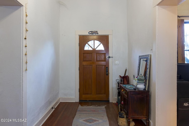 foyer entrance featuring a healthy amount of sunlight, baseboards, and wood finished floors