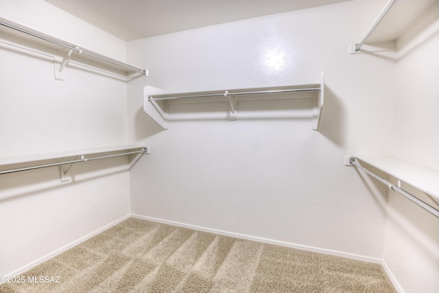 spacious closet with carpet