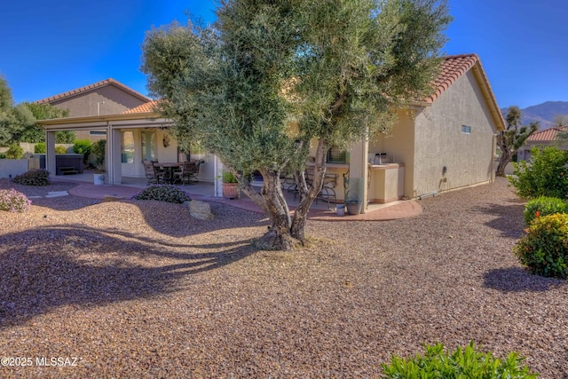 back of house with a patio area, a tiled roof, and stucco siding