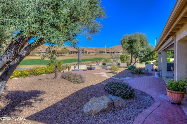 view of yard with a patio area