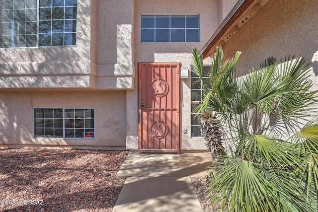 3381 W Calle De La Bajada, Tucson, AZ 85746 - property entrance with stucco siding