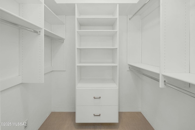 view of spacious closet