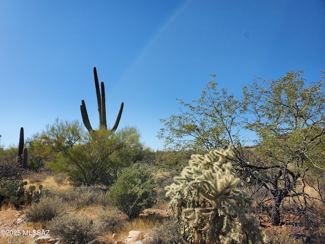 Listing photo 2 for 13147 N T Bench Bar Pl Unit 3, Marana AZ 85658