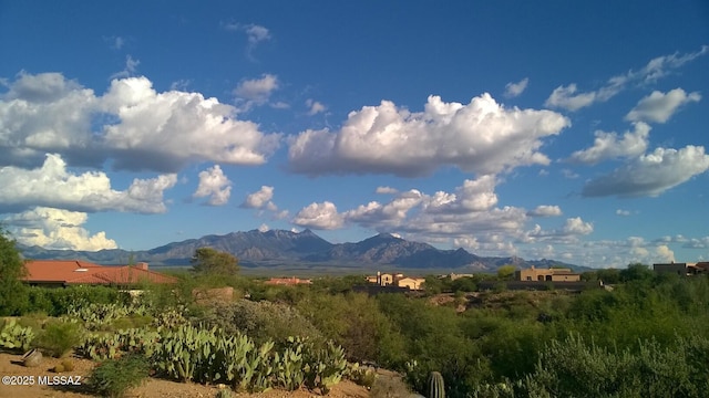 view of mountain feature