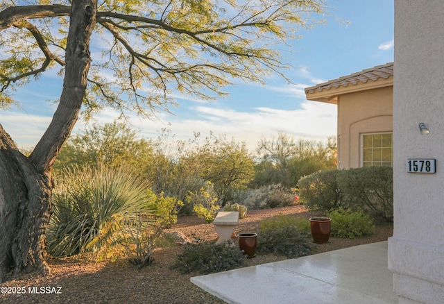 view of yard featuring a patio area