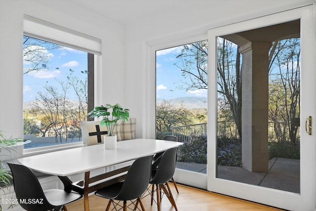 dining room featuring a mountain view and light wood finished floors