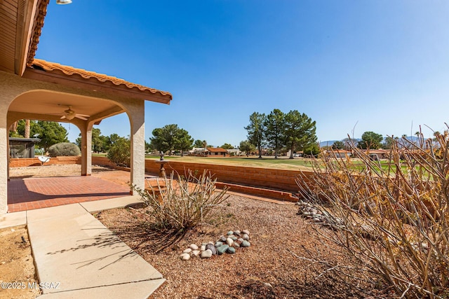 view of yard featuring ceiling fan and a patio area