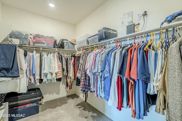 walk in closet featuring carpet floors