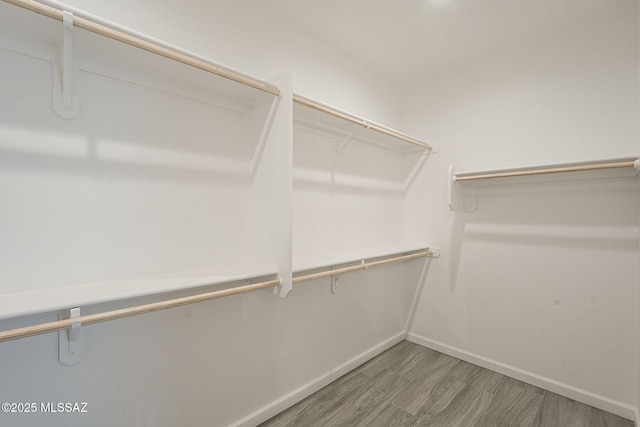 spacious closet featuring wood finished floors