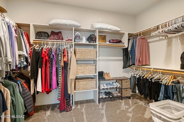 walk in closet with carpet floors