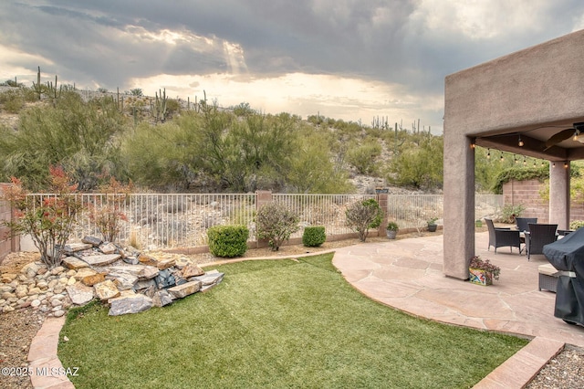 view of yard with a patio and a fenced backyard