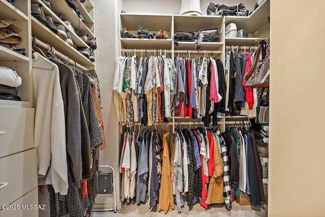 walk in closet with carpet floors