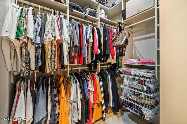 spacious closet with carpet flooring