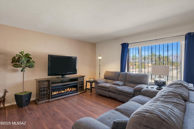 living room featuring baseboards, wood finished floors, and a glass covered fireplace