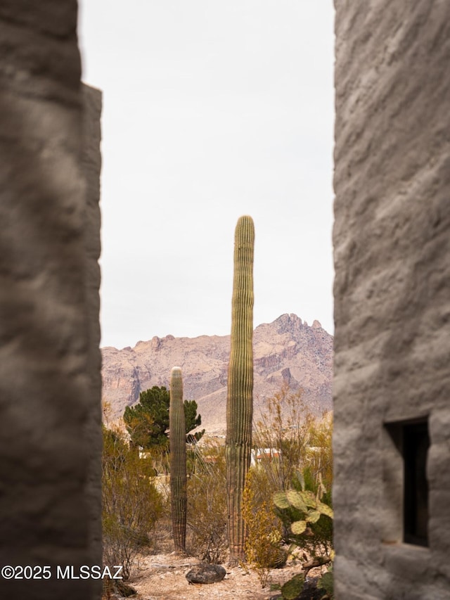 exterior space featuring a mountain view