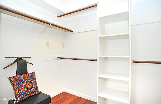 walk in closet with wood finished floors