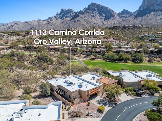 birds eye view of property featuring a mountain view