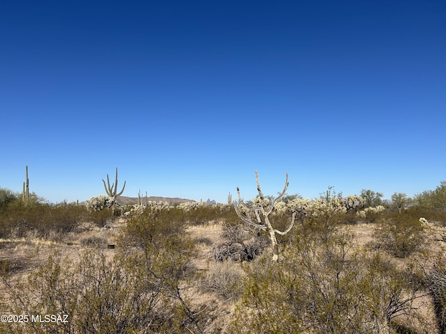 Listing photo 3 for X S Cattle Tank Rd, Marana AZ 85658