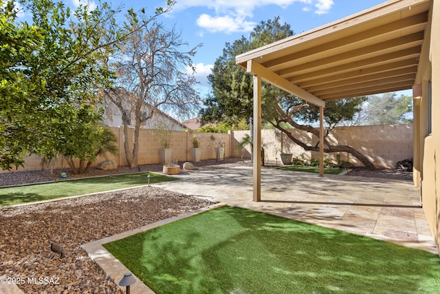 view of yard with a fenced backyard and a patio