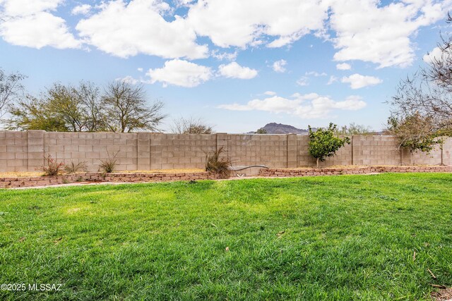 view of yard with a patio area and a fenced backyard