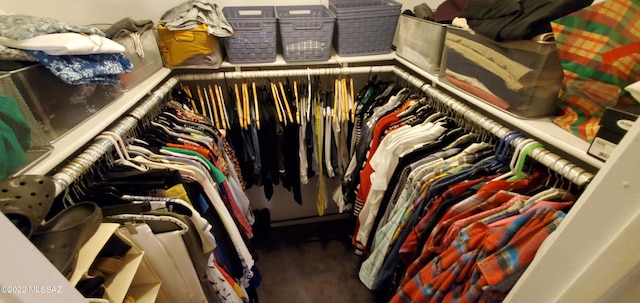 view of spacious closet