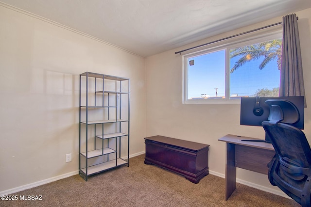 office space featuring carpet floors and baseboards