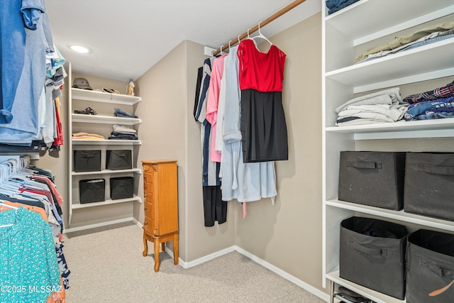 walk in closet featuring carpet flooring