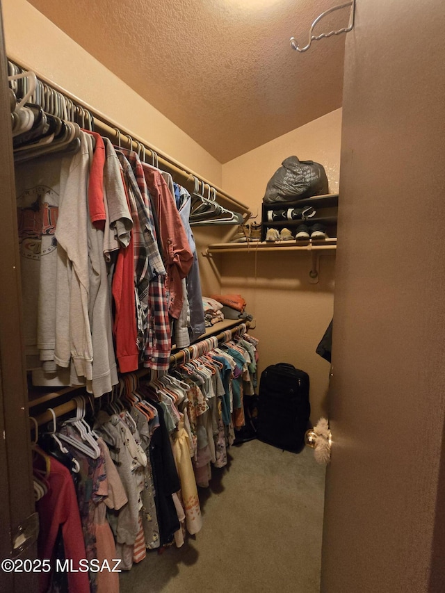 1702 E Saint Bernadine St, Tucson, AZ 85713 - spacious closet with carpet flooring