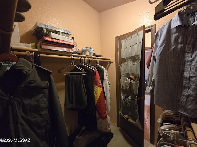 1702 E Saint Bernadine St, Tucson, AZ 85713 - spacious closet with carpet floors