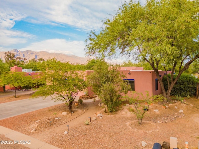 view of yard with concrete driveway and a mountain view