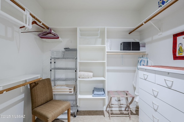 view of spacious closet