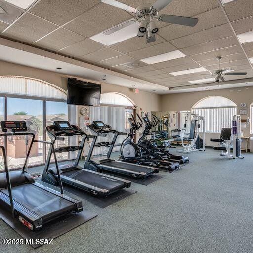 exercise room featuring carpet flooring, a paneled ceiling, and ceiling fan