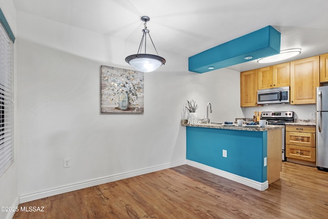 kitchen with a peninsula, wood finished floors, baseboards, and appliances with stainless steel finishes