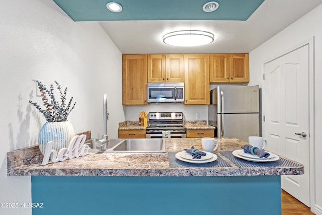 kitchen with wood finished floors, appliances with stainless steel finishes, and a sink