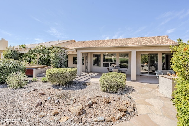 back of property featuring a patio area, stucco siding, a hot tub, and a ceiling fan