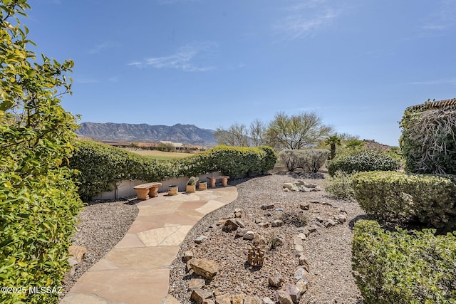 view of yard featuring a mountain view