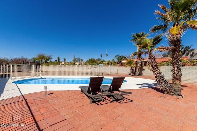 view of pool with a patio area, a fenced backyard, and a fenced in pool