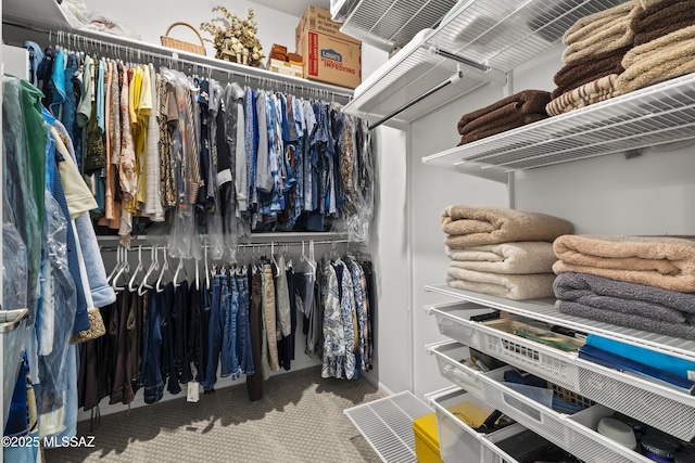 spacious closet featuring carpet floors