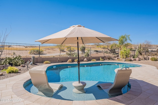 view of swimming pool featuring a fenced backyard, a fenced in pool, and a patio