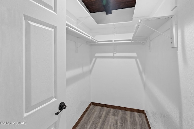 spacious closet featuring wood finished floors