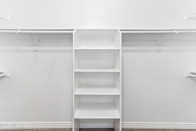 walk in closet featuring carpet flooring