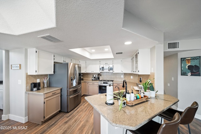 kitchen with a tray ceiling, a peninsula, visible vents, and stainless steel appliances