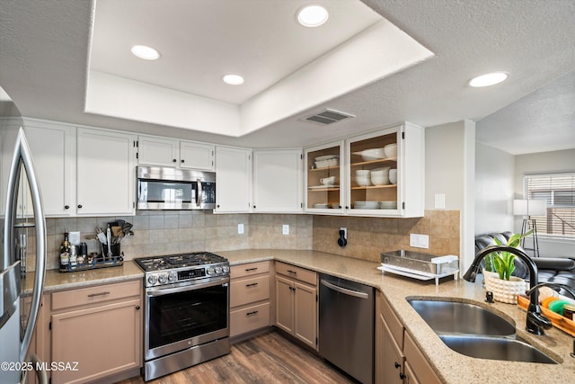 kitchen featuring visible vents, a tray ceiling, a sink, stainless steel appliances, and dark wood-type flooring