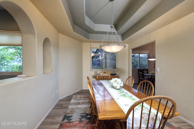 dining space with a raised ceiling, wood finished floors, and baseboards