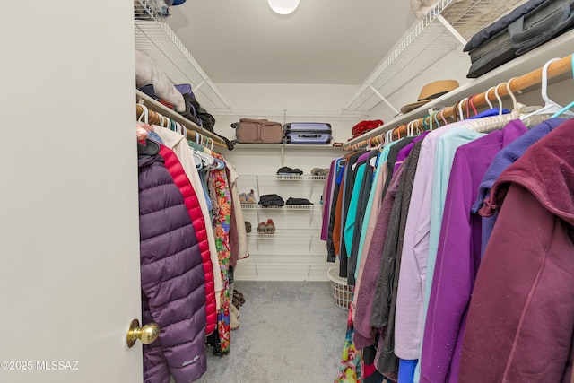 walk in closet with carpet flooring