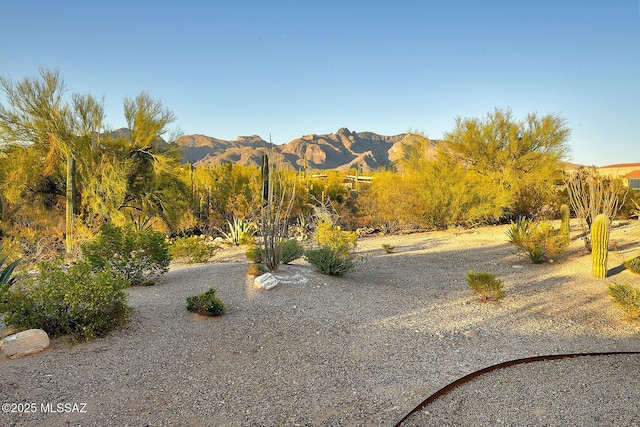 property view of mountains