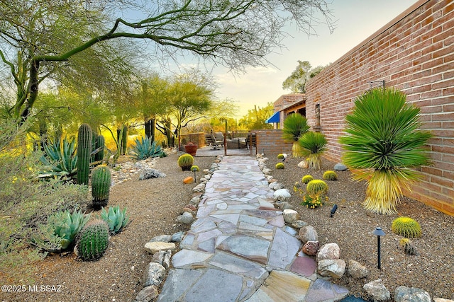 view of yard featuring a patio area